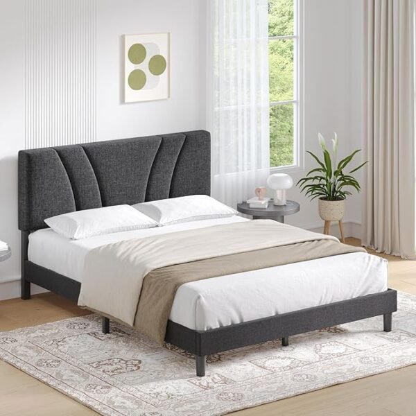 Serene Curve Upholstered Bed